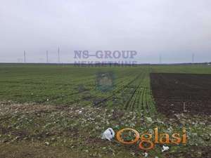 Plac od 4671m2!